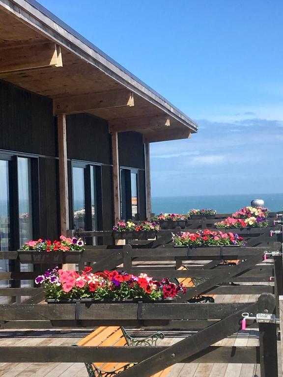 The Cliffs Resort Seaside Lodge - Chambres d'hôtes Tuatapere