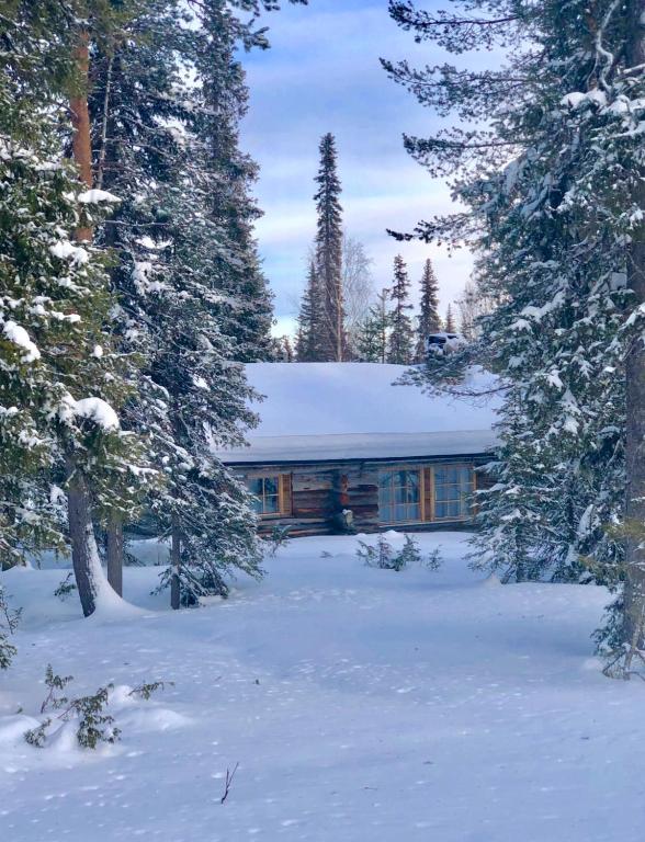 Villa Karhunkehto - Bed and Breakfast Luosto