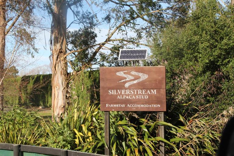 Silverstream Alpaca Farmstay & Tour - Chambres d'hôtes Kaiapoi