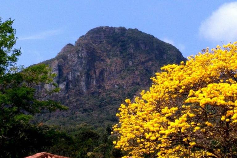 A Haven of Tranquility in the Mountains in Altos del Maria Panama - Bed and Breakfast El Picacho