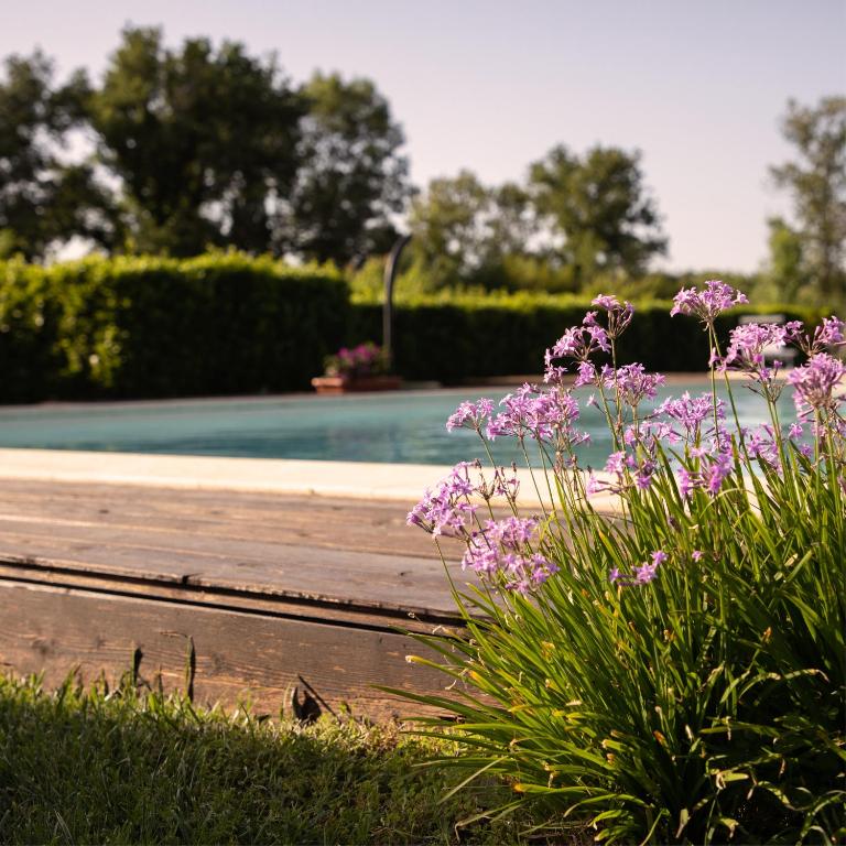 Agriturismo I Tre Fossi - B&B Magliano in Toscana