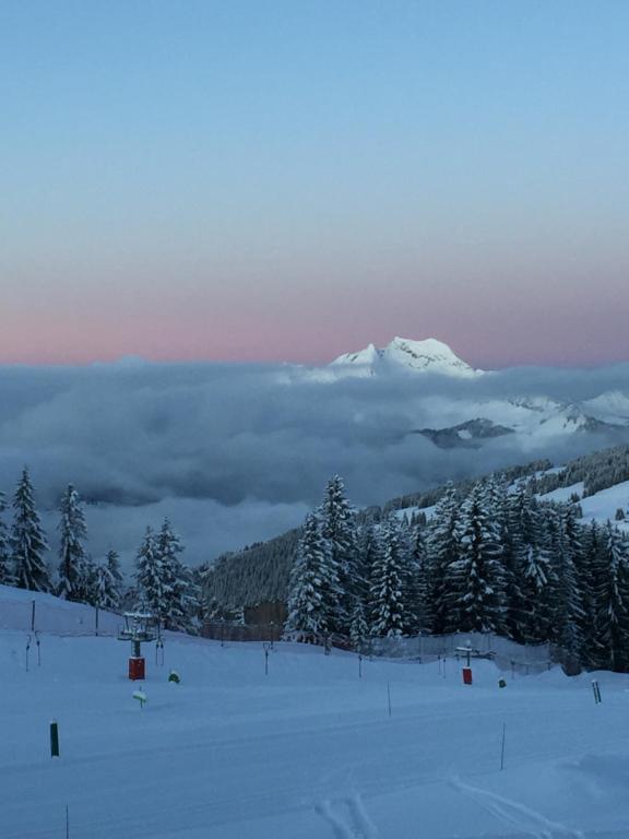 Avoriaz le M1212 - B&B Avoriaz