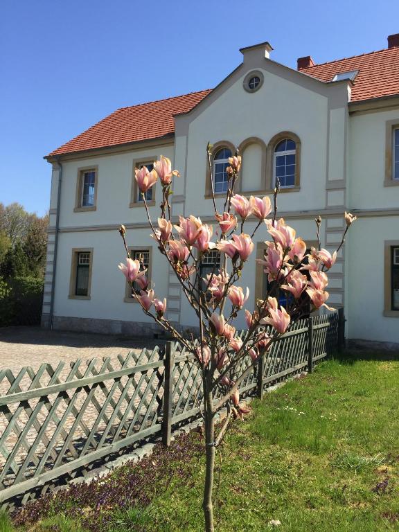 Stara Szkoła Dębowy Gaj The Old School Dębowy Gaj - B&B Gmina Lwówek Śląski