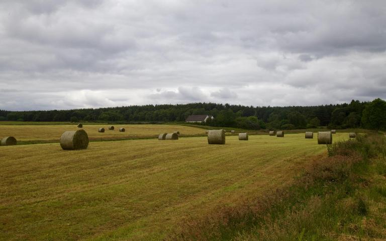Clashmore Wood - B&B Dornoch