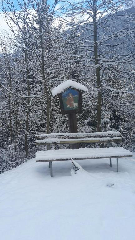 Sonnenplatzl-adults only - B&B Fulpmes