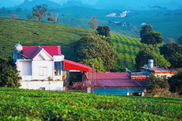 Homestay Moc Chau - B&B Mộc Châu
