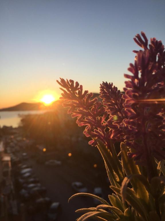 Central House with AmazingView - Bed and Breakfast Kavála