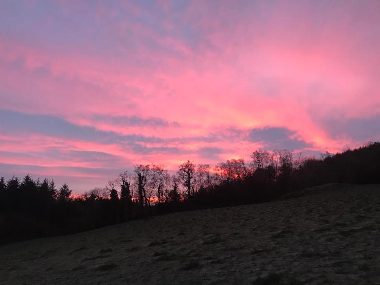 Forest View - Castlewellan, County Down - B&B Belfast