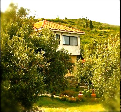 Kyra's Paradise - B&B Potistika