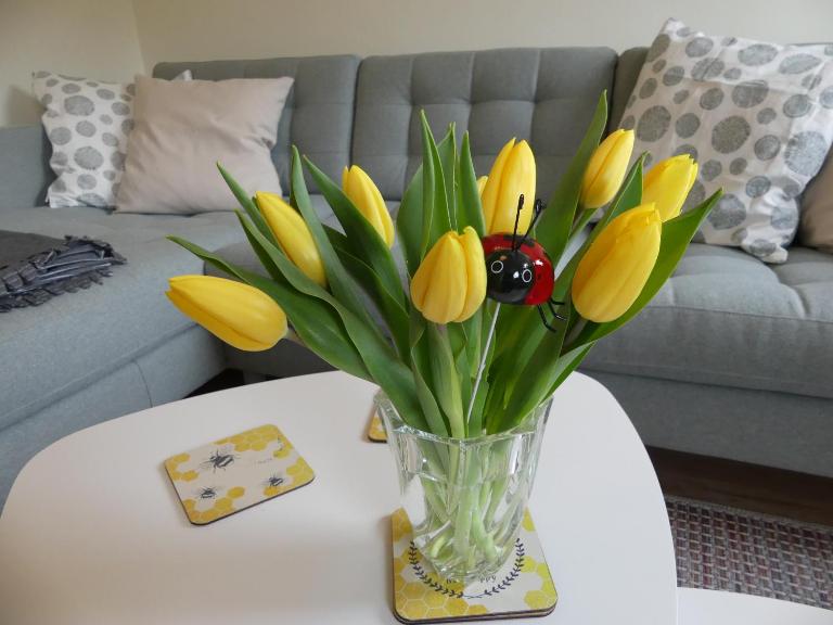 Ferienwohnung Sünteltraum - B&B Hamelin