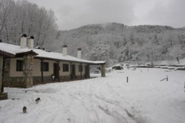 Villa Rosa - B&B Antartiko