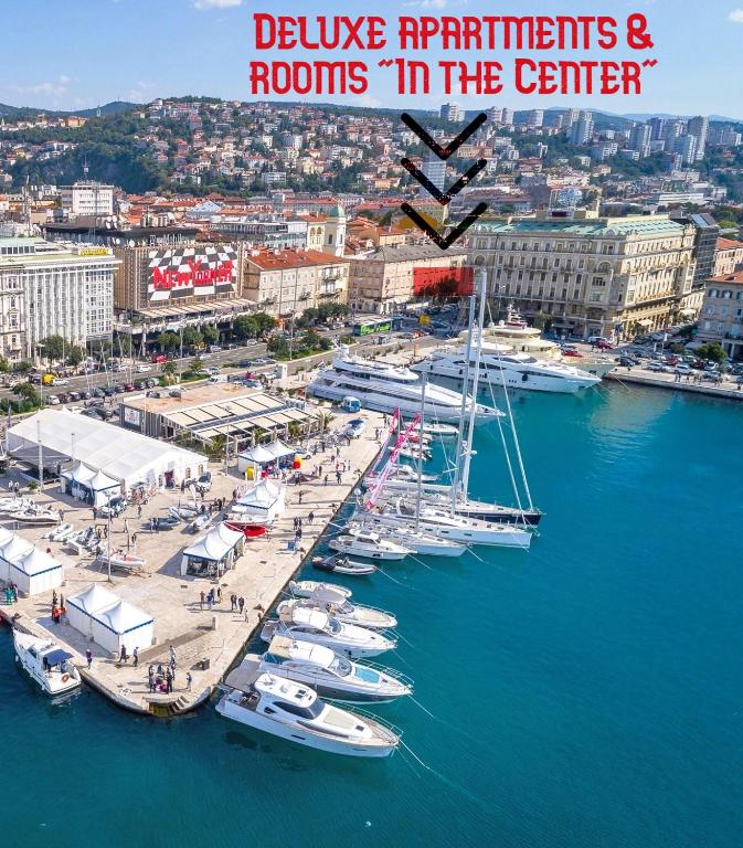 Deluxe Apartments & Rooms "In the Center" - B&B Rijeka