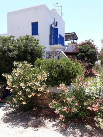 Village house in Paros - Bed and Breakfast Drios