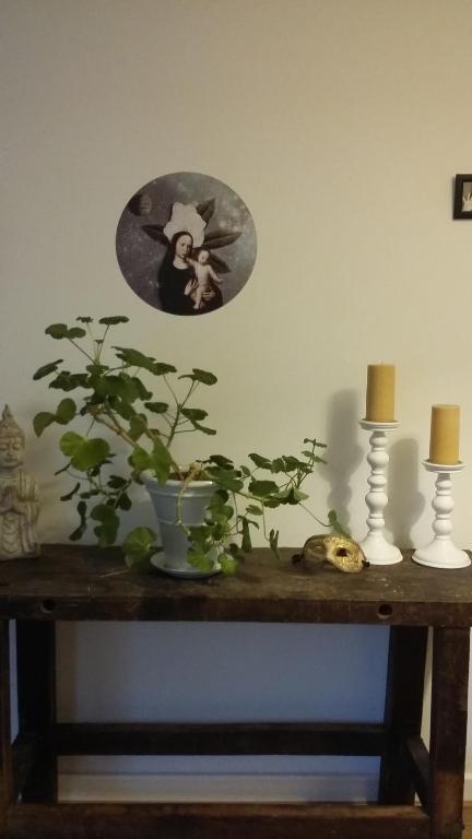 AROHA - B&B Glastonbury