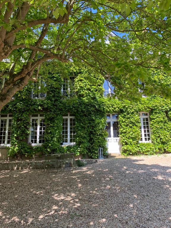 La suite & Caux 2 - Chambres d'hôtes Cany-Barville