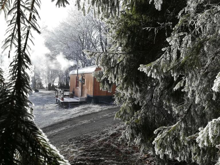 Benno der Wagen - kreativ gestaltetes Tiny House AM WALDRAND Nahezu Alleinlage Rennsteig Grünes Band NATUR PUR Hund willkommen - Ferienwohnung Tettau