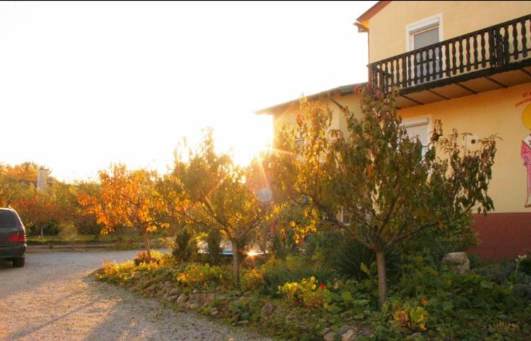 Ferienwohnungen Ödenburgerhof - Ferienwohnung Mörbisch am See