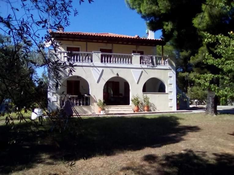Pine tree house - Bed and Breakfast Troulos