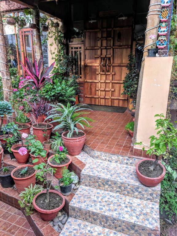 The Divine Hima - B&B Dharamsala