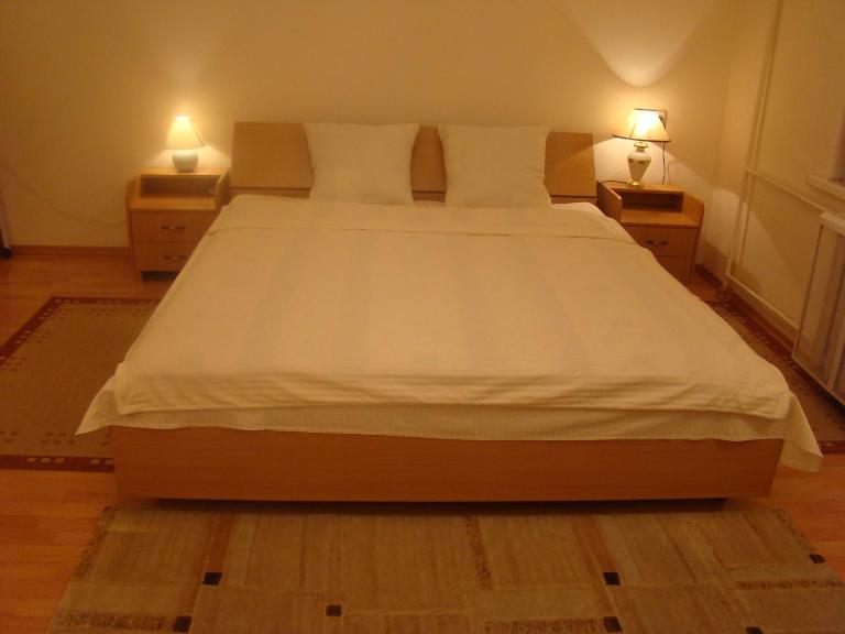 Alex Apartments on Puskinskaya-Chikalenko new name - B&B Kyiv