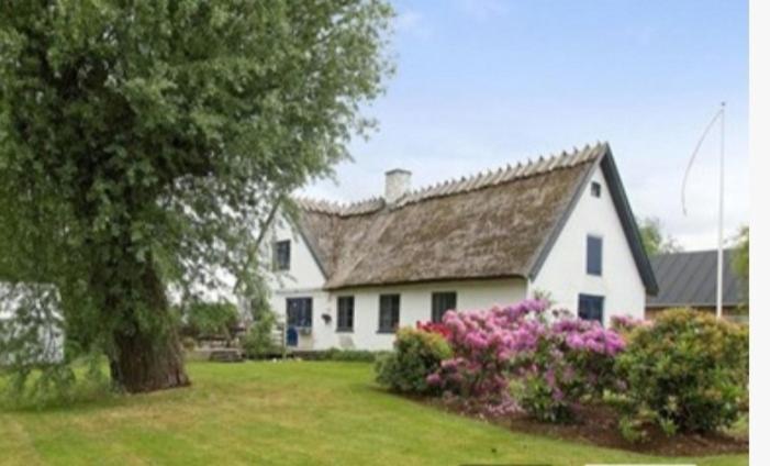 Pegasus Bed & Breakfast - B&B Hillerød