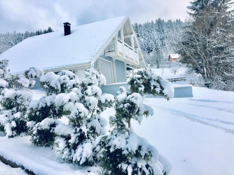 Chalet Le Flocon Bleu - Mauselaine avec vue sur le Lac de Gérardmer - Ferienwohnung Gérardmer