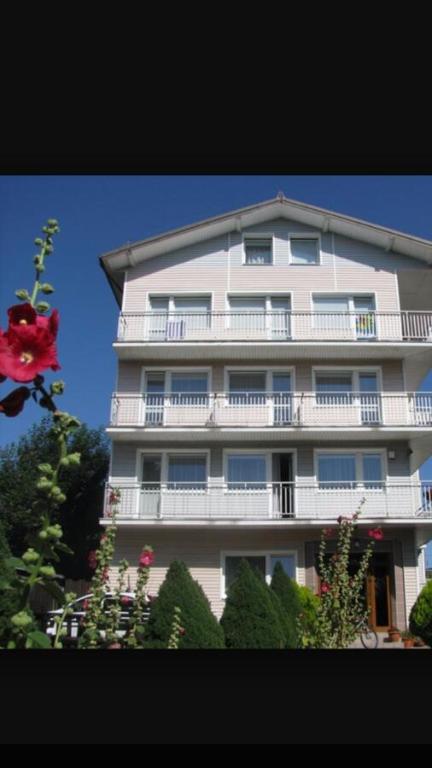 Kojak - B&B Jastrzębia Góra