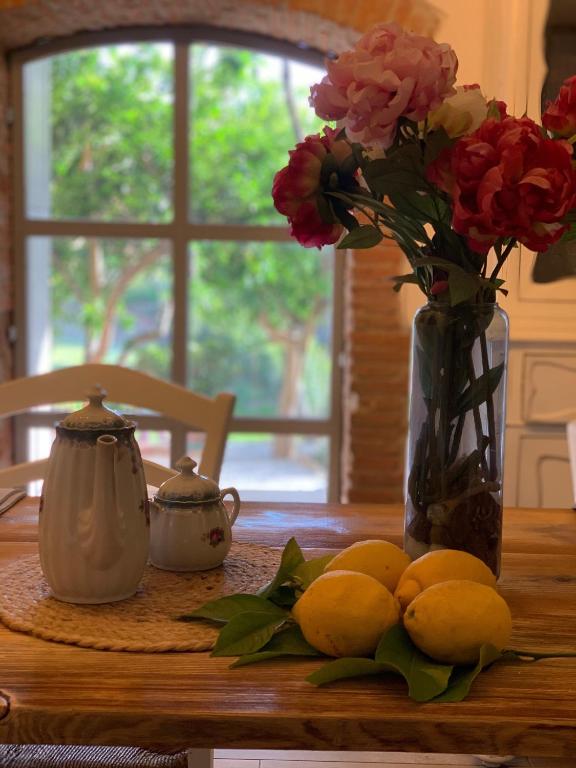 Il giardino dei limoni - Bed and Breakfast Suvereto