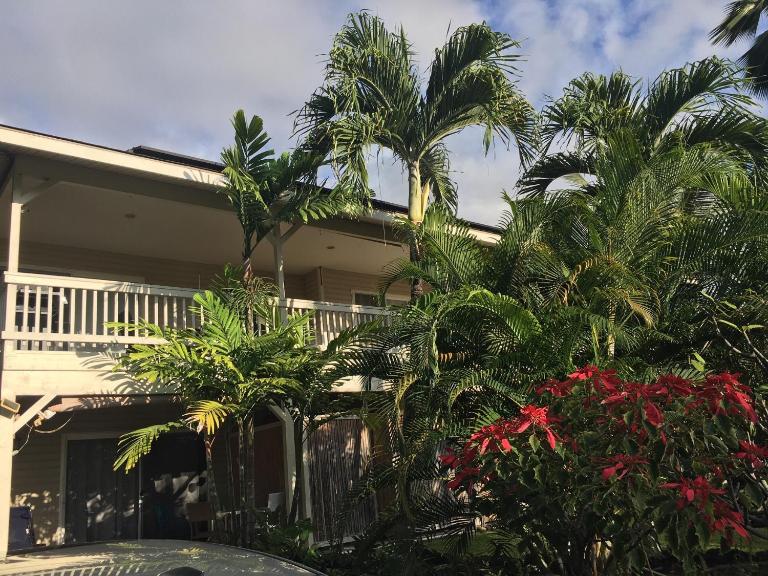 The cozy big studio -30 days - B&B Kailua-Kona