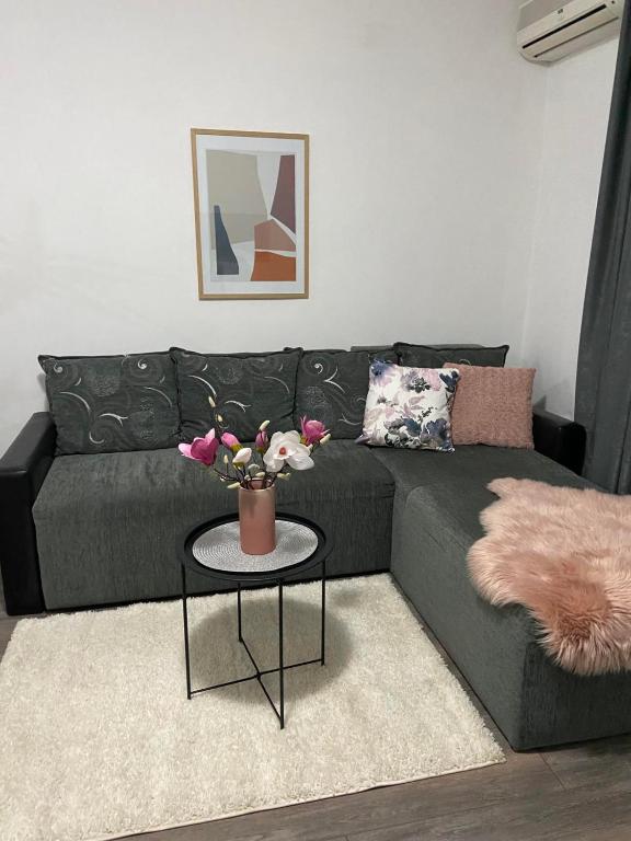 Apartman Aleksic - Chambres d'hôtes Jagodina