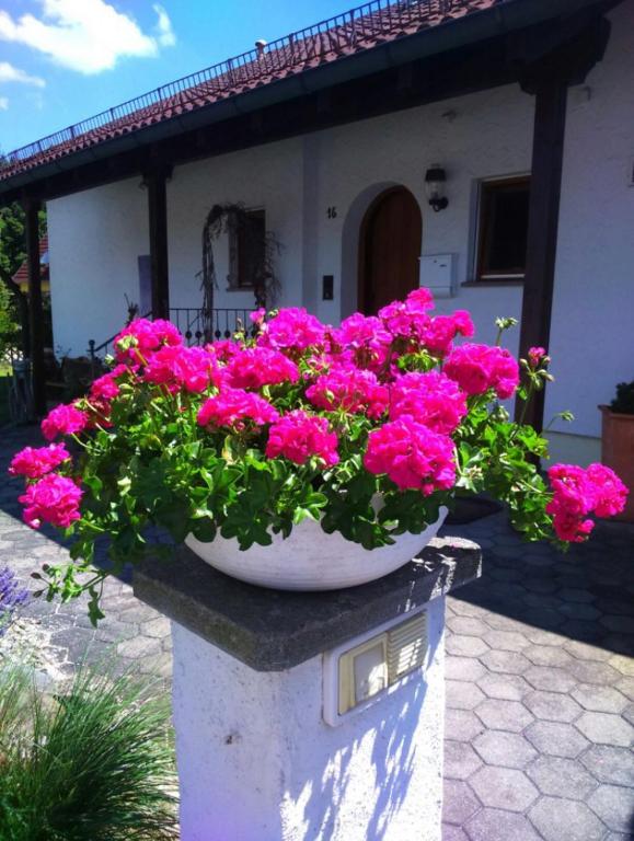 Haus Säntisblick - B&B Eriskirch