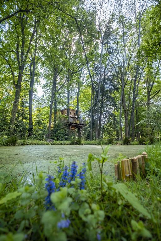 Le Monde de Charlie - Les Cabanes - Bed and Breakfast Bellerive-sur-Allier