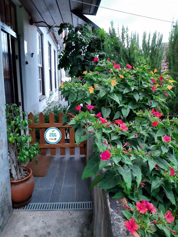 Casa do Sr. Falcão - B&B Miranda do Corvo
