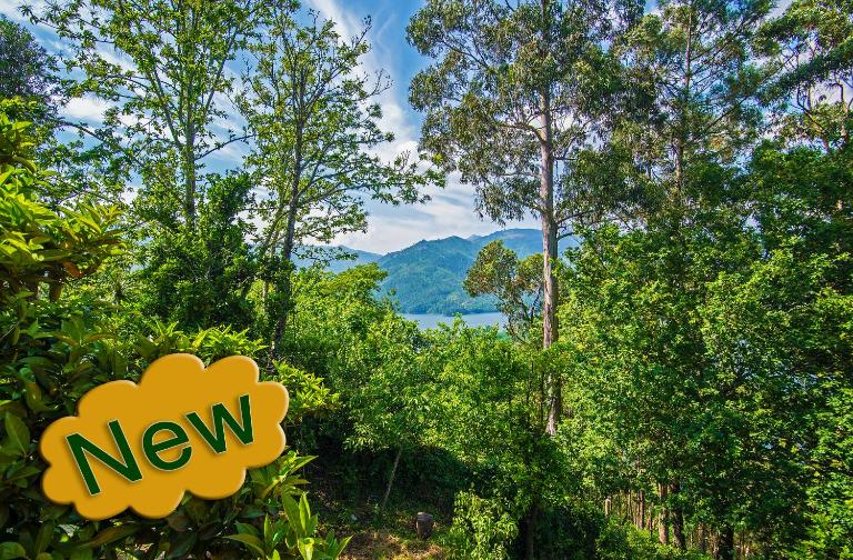 Welcome to Gerês-Green view - B&B Vieira do Minho
