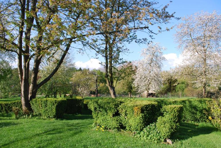 Gites aux Fleurs de Cerises - B&B Le Plessis-Luzarches
