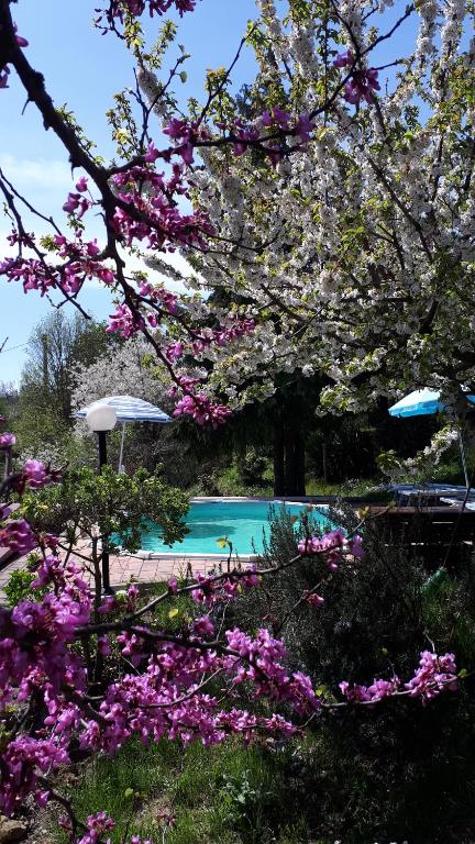 Il Ciliegio del Pellegrino - B&B Gubbio