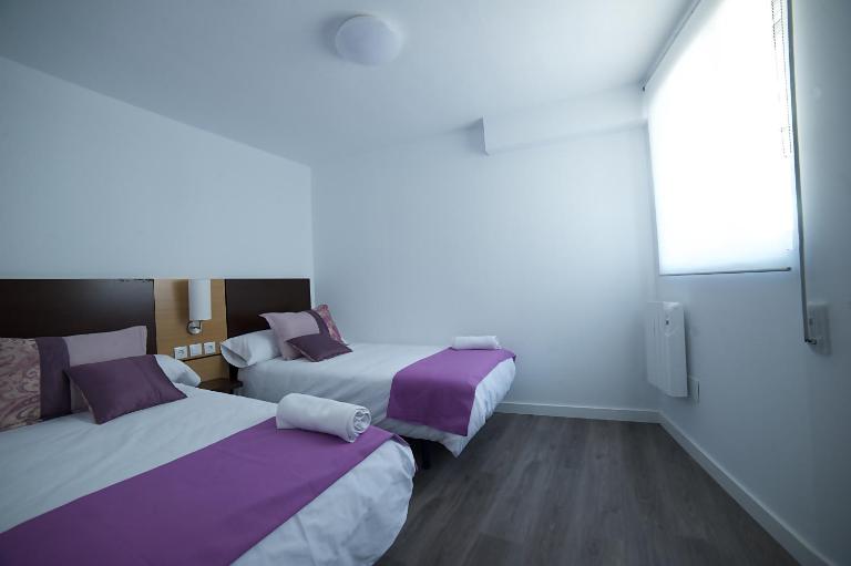 Apartamentos Barrio Húmedo Catedral 2 - Chambres d'hôtes León