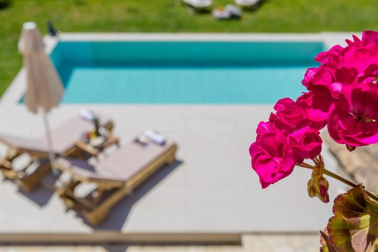 Corfu Town Garden House - B&B Karyofyto