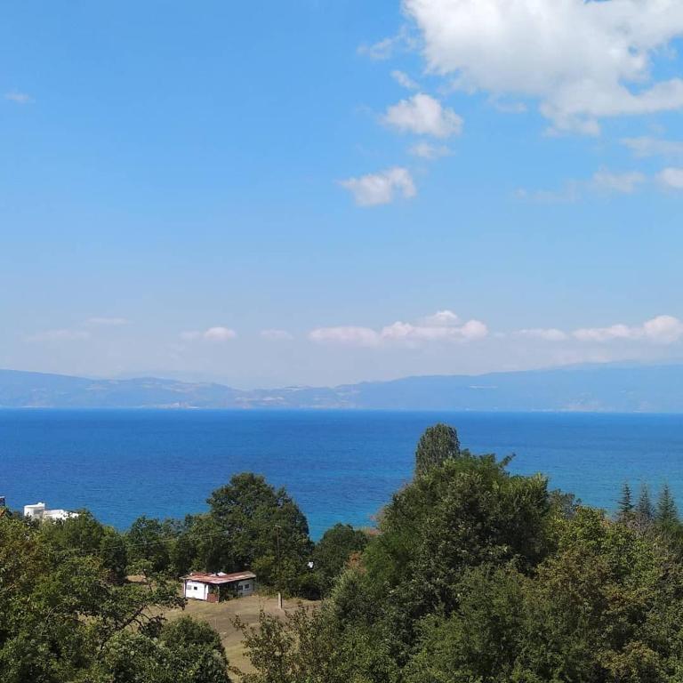 The Brothers Villa Hotel - B&B Ocrida