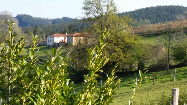 Ferme des Entremains - B&B Mardore
