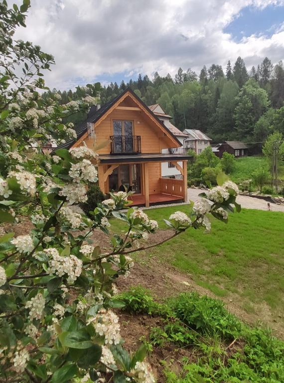 Domek pod Groniem - B&B Mizerna