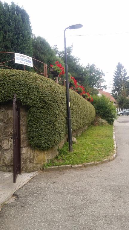 Noclegi U Andrzeja - B&B Duszniki-Zdrój