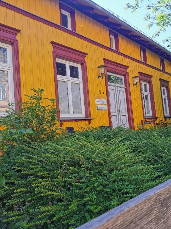 Sommerhaus Seidel - mit kostenlosem Parkplatz - - Ferienwohnung Stralsund