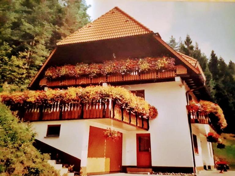 Ferienwohnung Abendsonne - B&B Hornberg