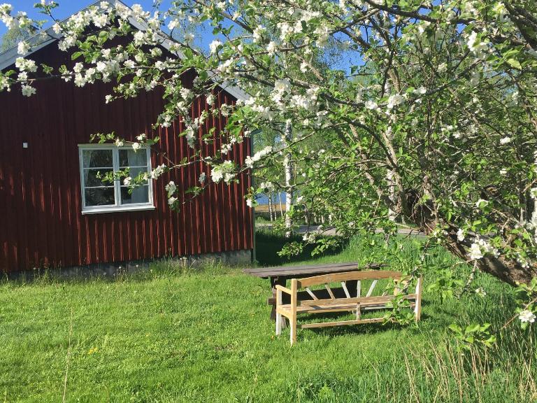 Tättas stuga på Malingsbo Herrgård - B&B Malingsbo