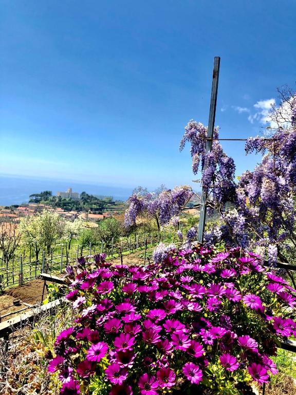 La Casa Dei Nonni - Ferienwohnung Agerola