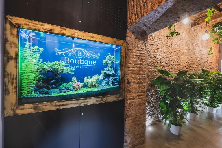 Le Boutique Luxury Rooms diffused in historical center - Chambres d'hôtes Fiumicino