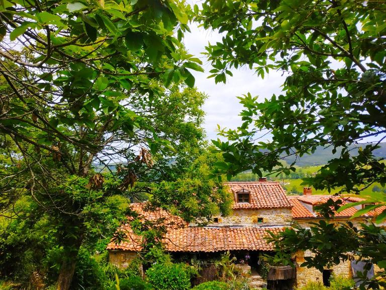 Apartamento en Plena Naturaleza - B&B La Cavada