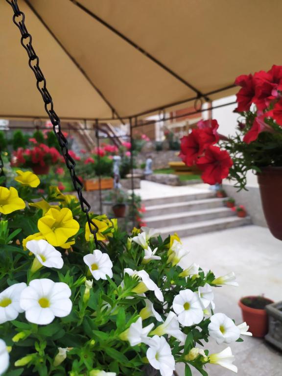 Apartment "JONA " - Ferienwohnung Niš