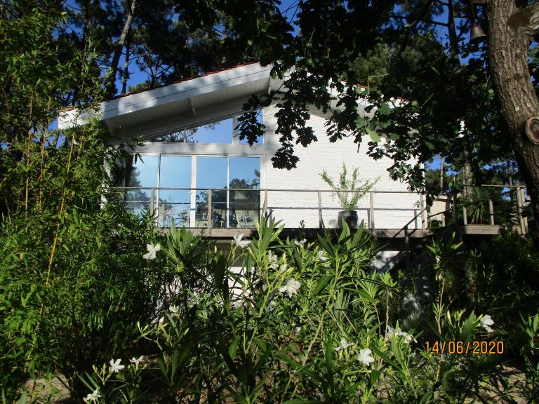 une maison lumineuse sous les pins - B&B Le Canon